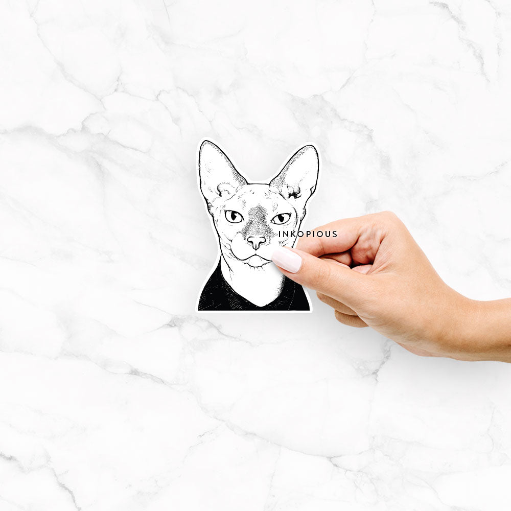 Oliver Watson the Sphynx Cat - Decal Sticker