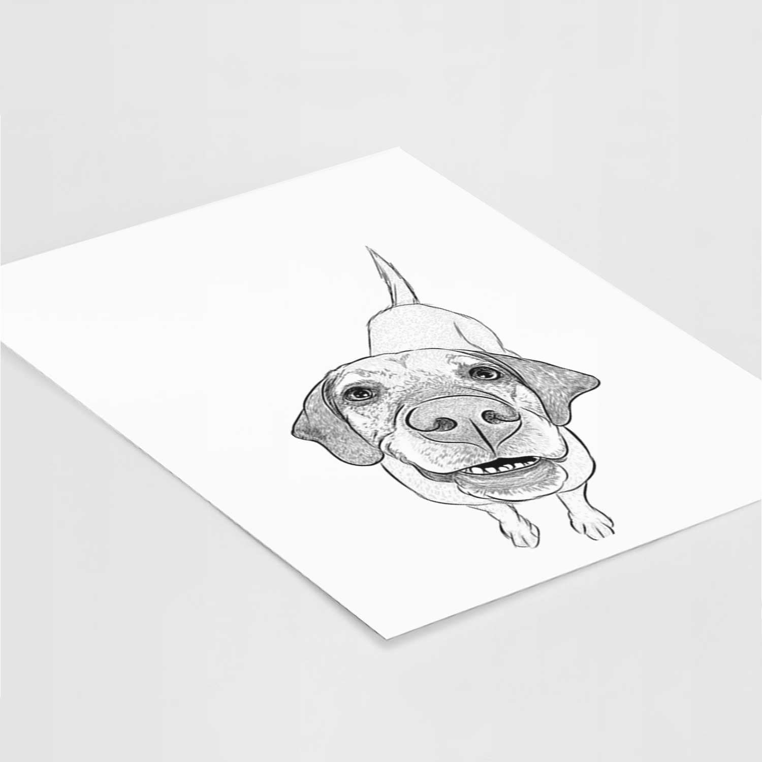 Oquirrh the Vizsla Art Print