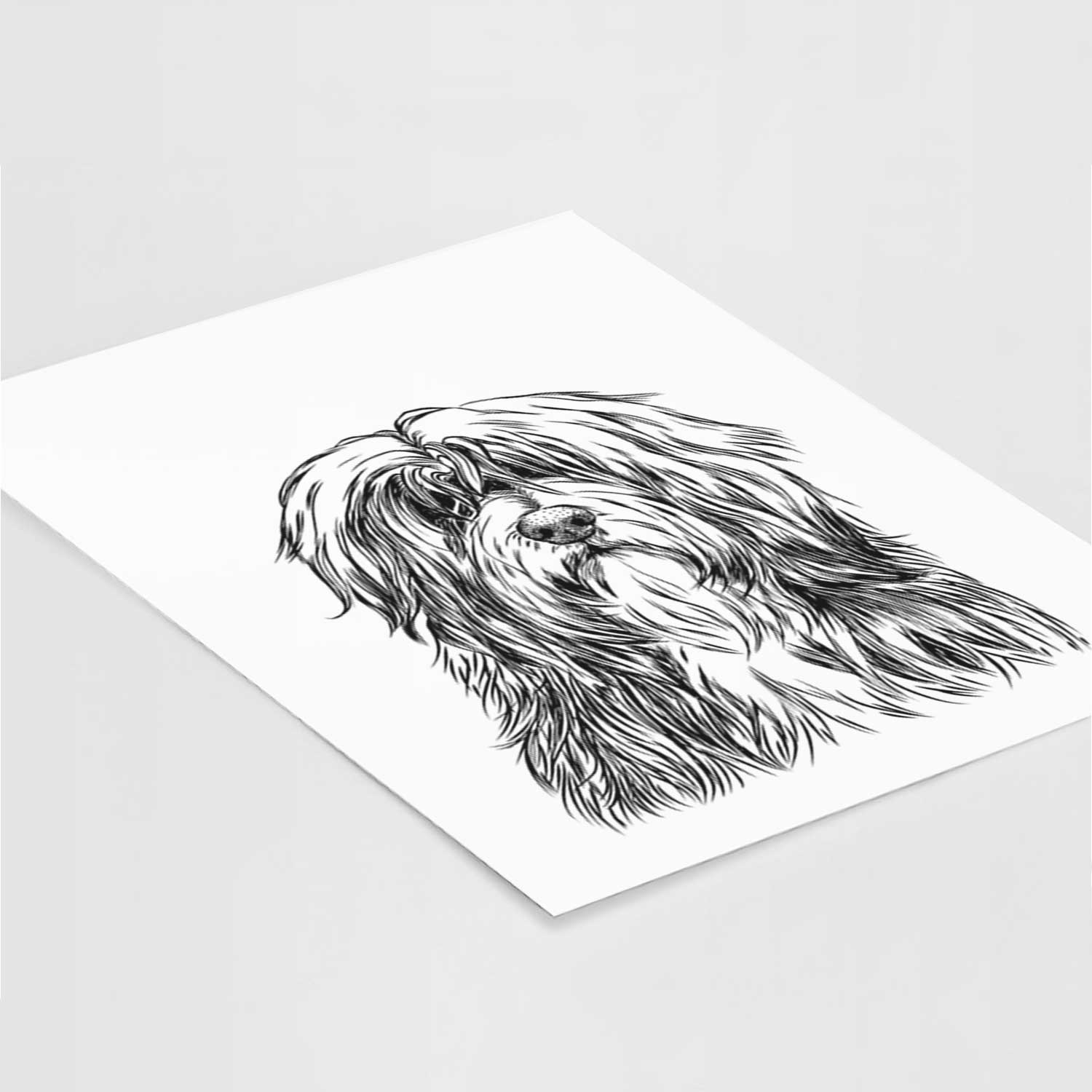 Otto the Polish Lowland Sheepdog Art Print