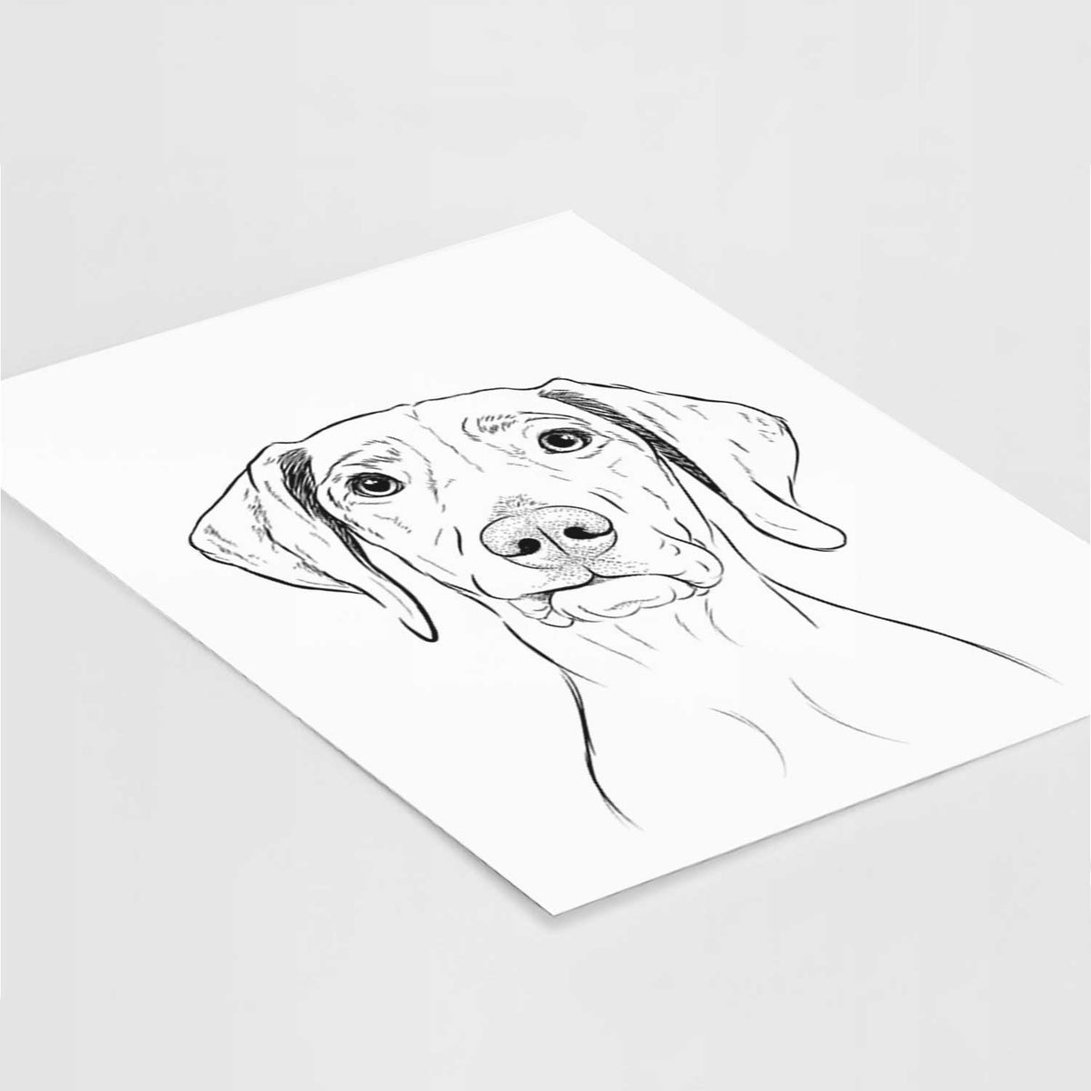 Pawley the Vizsla Art Print