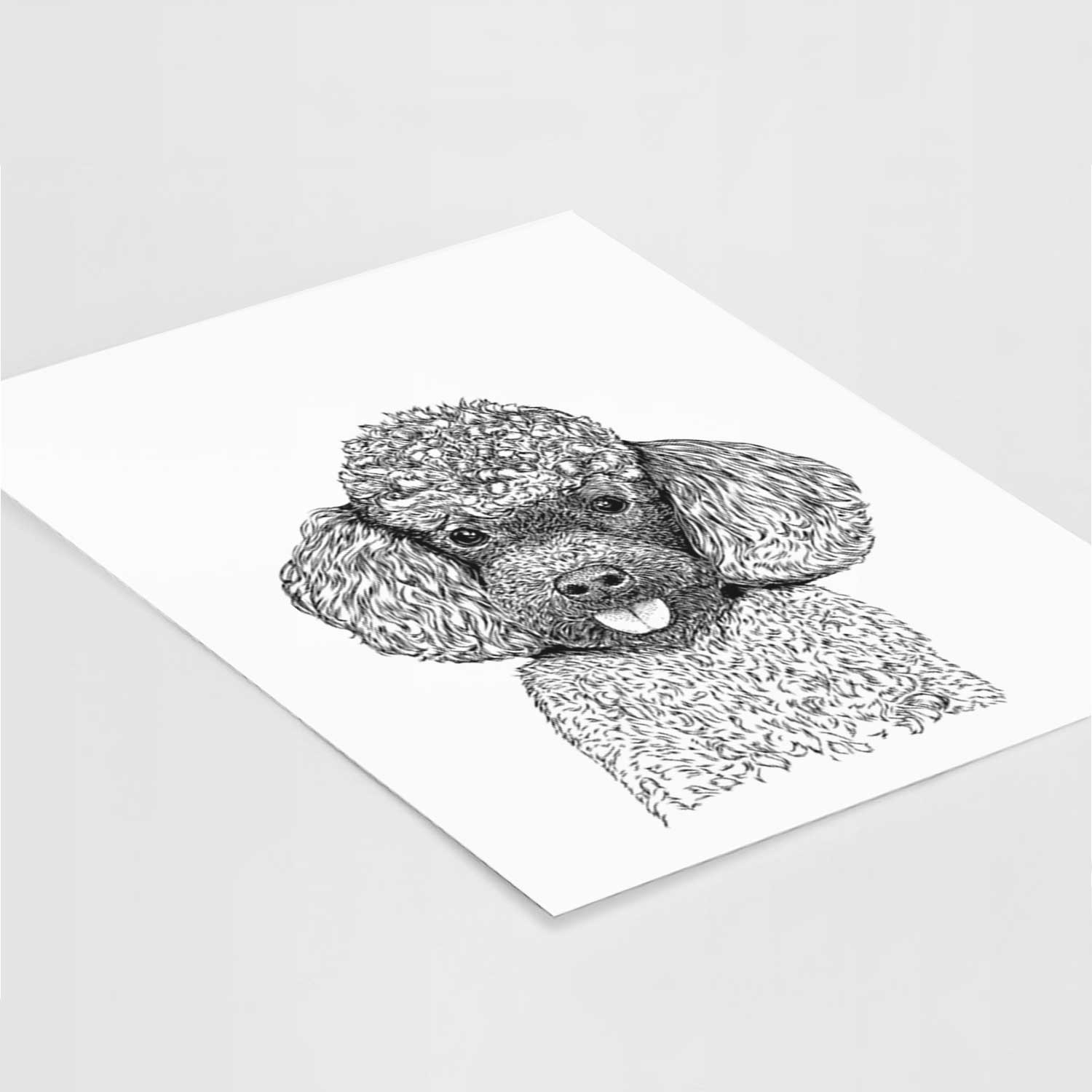 George the Toy Poodle Art Print