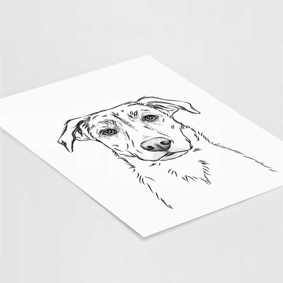 Peanut the Lab Mix Art Print