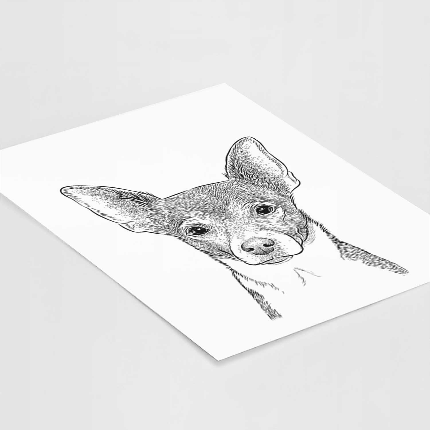 Peanut the Chihuahua Art Print