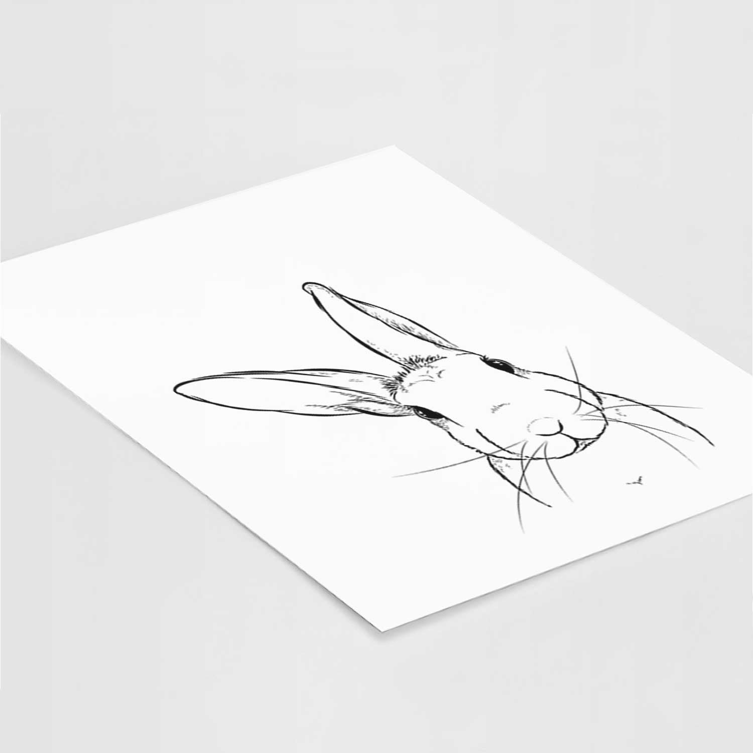 Penny the Belgian Hare Art Print