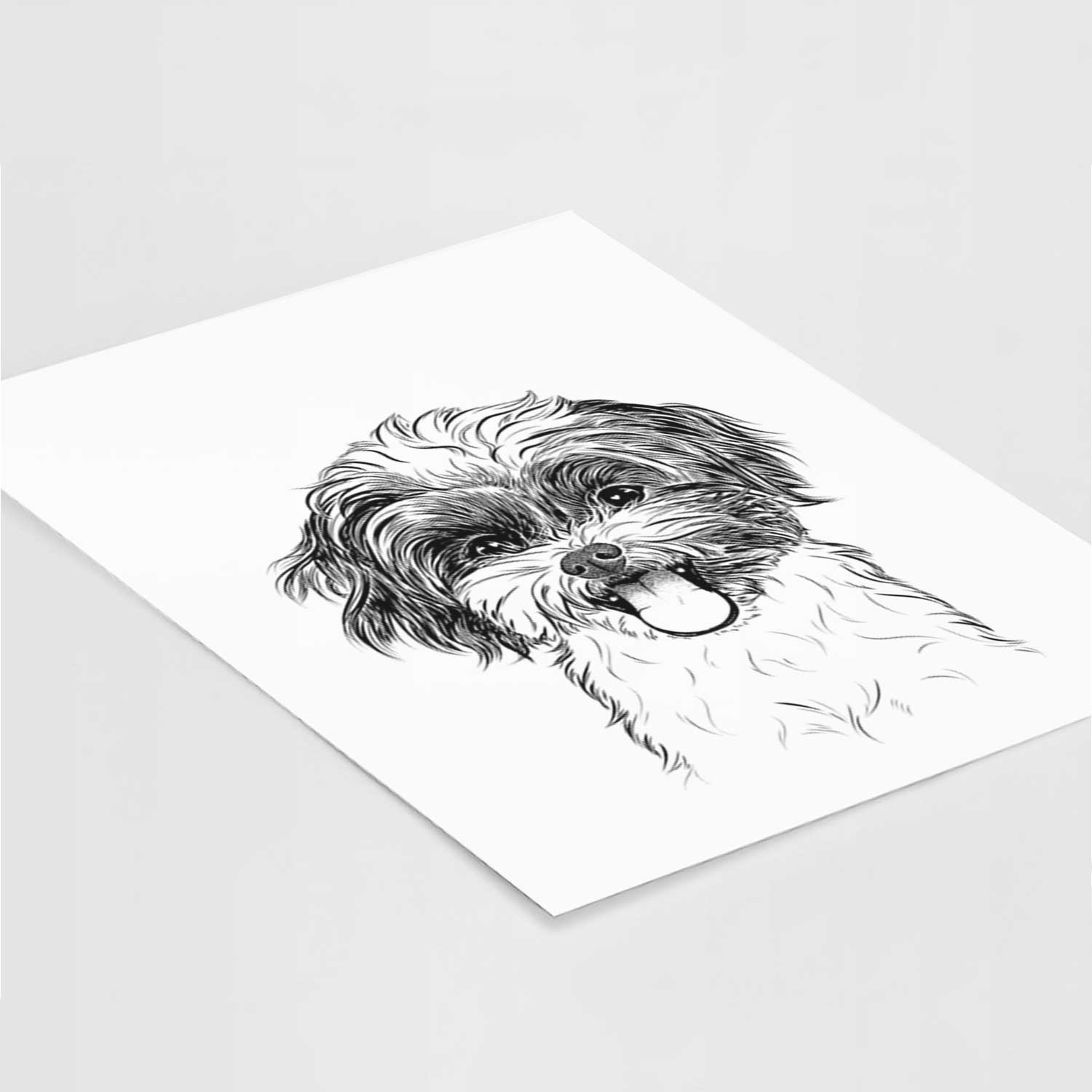 Pepper the Shihpoo Art Print