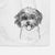 Pepper the Shihpoo Decorative Hand Towel