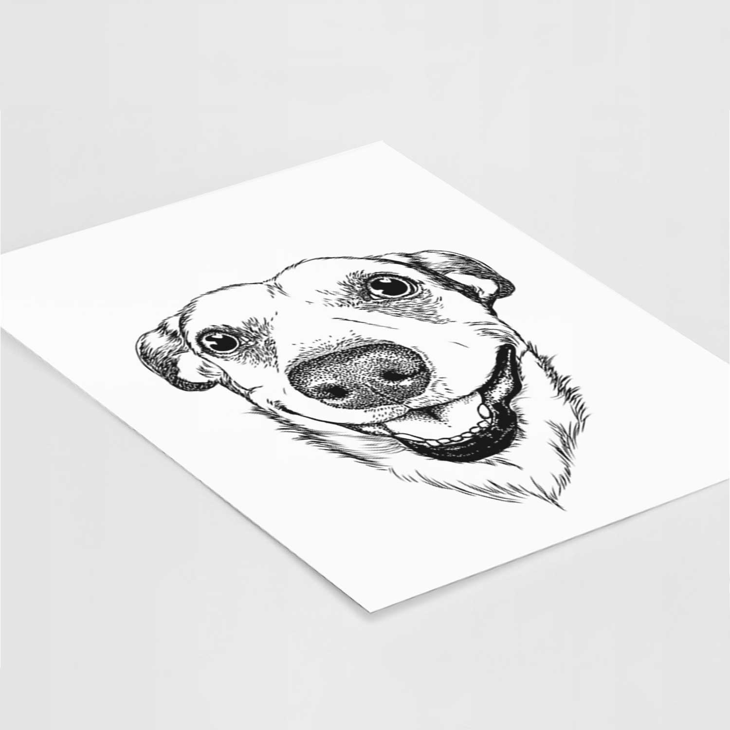 Petrah the American Staffordshire Mix Art Print