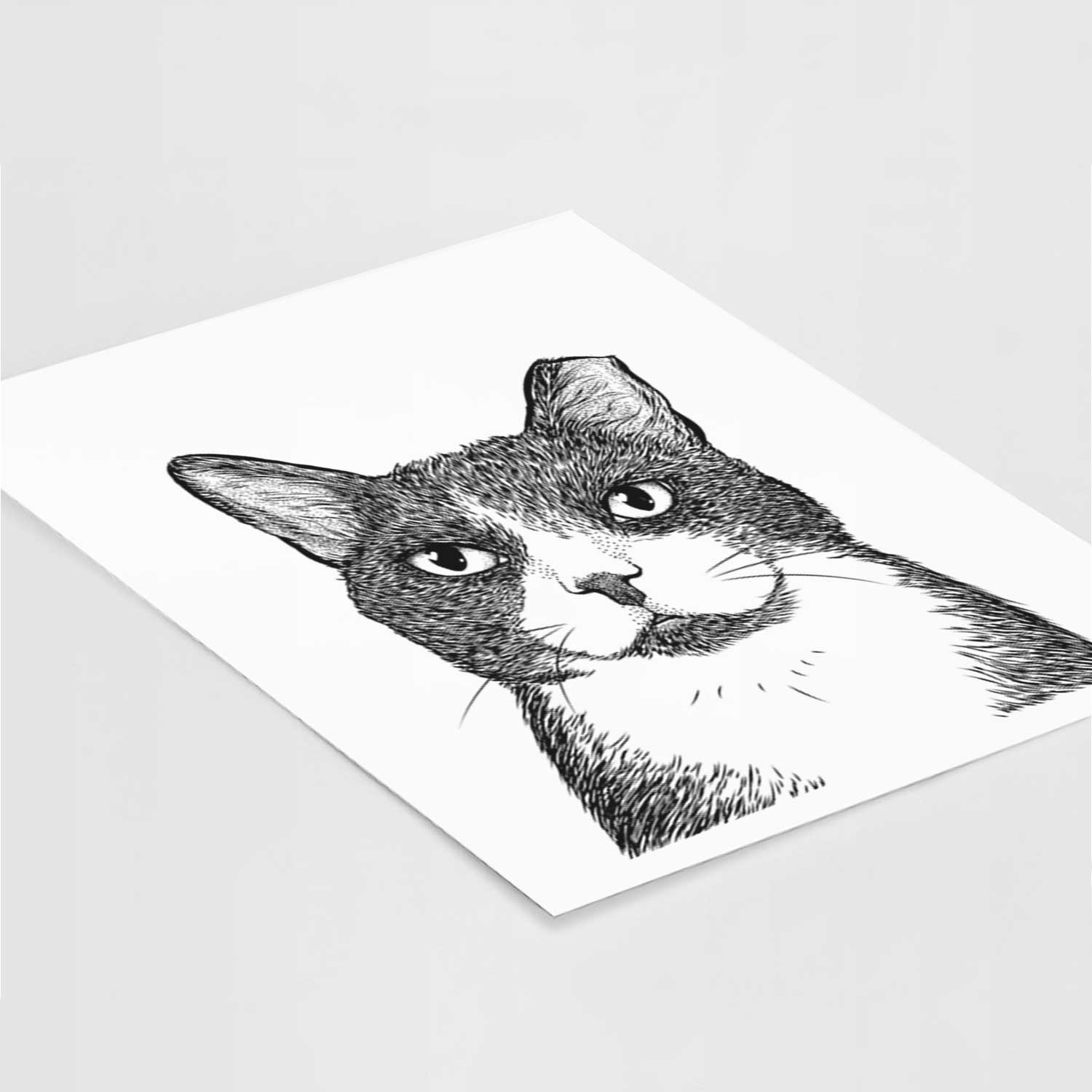 Pinky the Tuxedo Cat Art Print