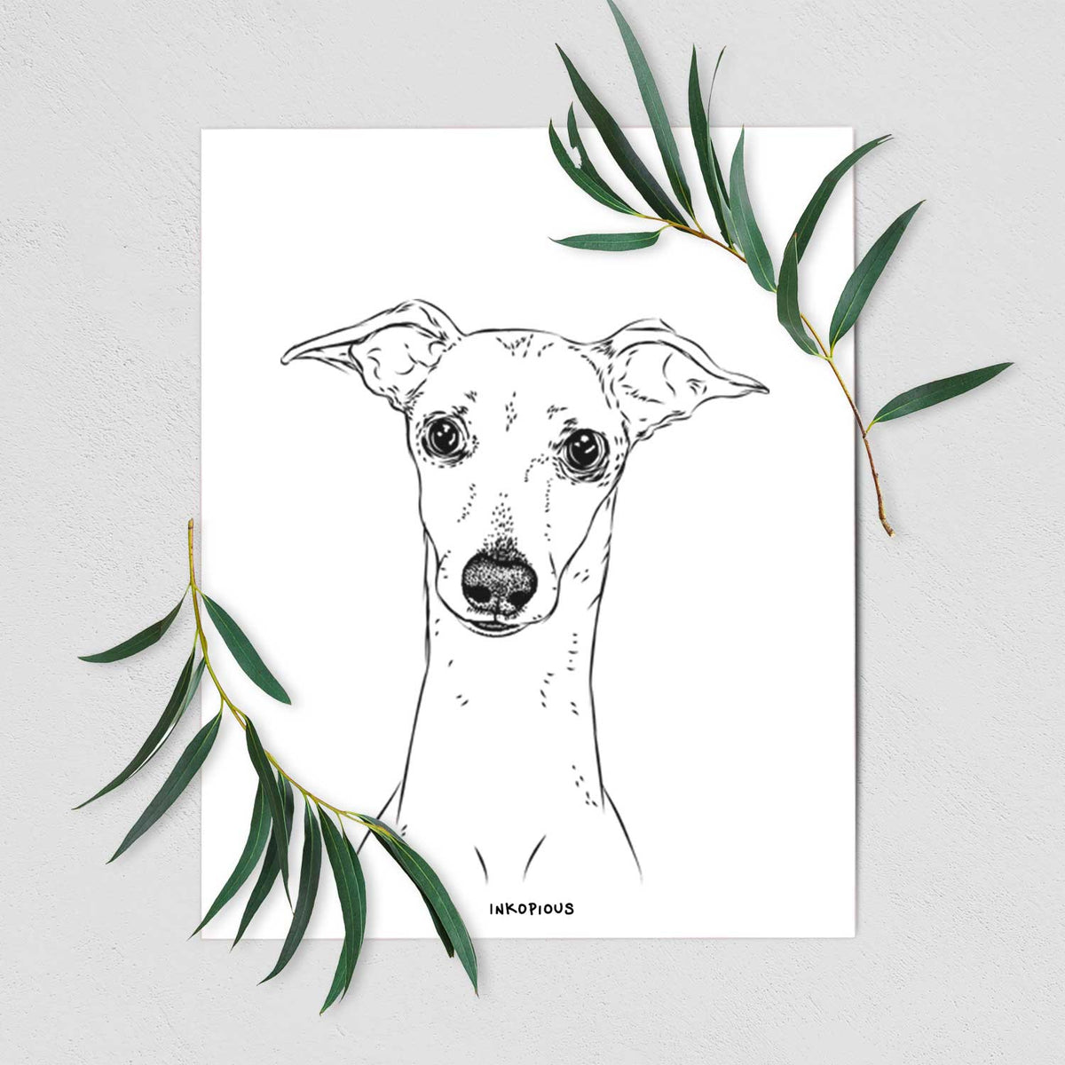 Pip the Italian Greyhound Art Print