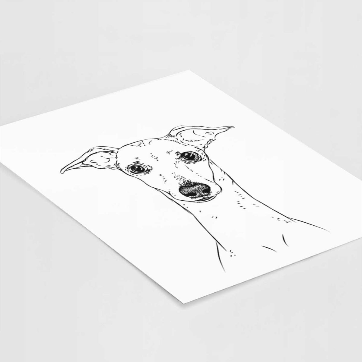 Pip the Italian Greyhound Art Print