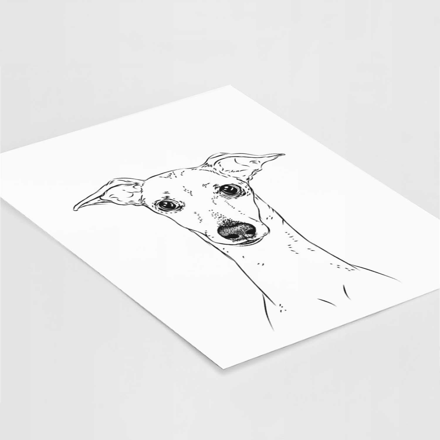 Pip the Italian Greyhound Art Print