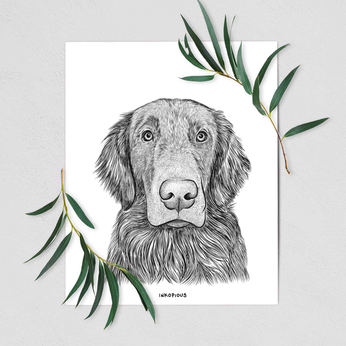 Pippin the Flat Coated Retriever Art Print