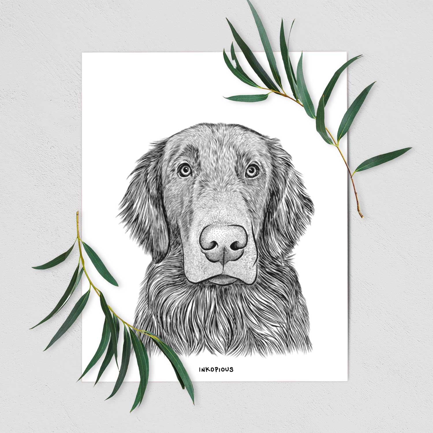 Pippin the Flat Coated Retriever Art Print