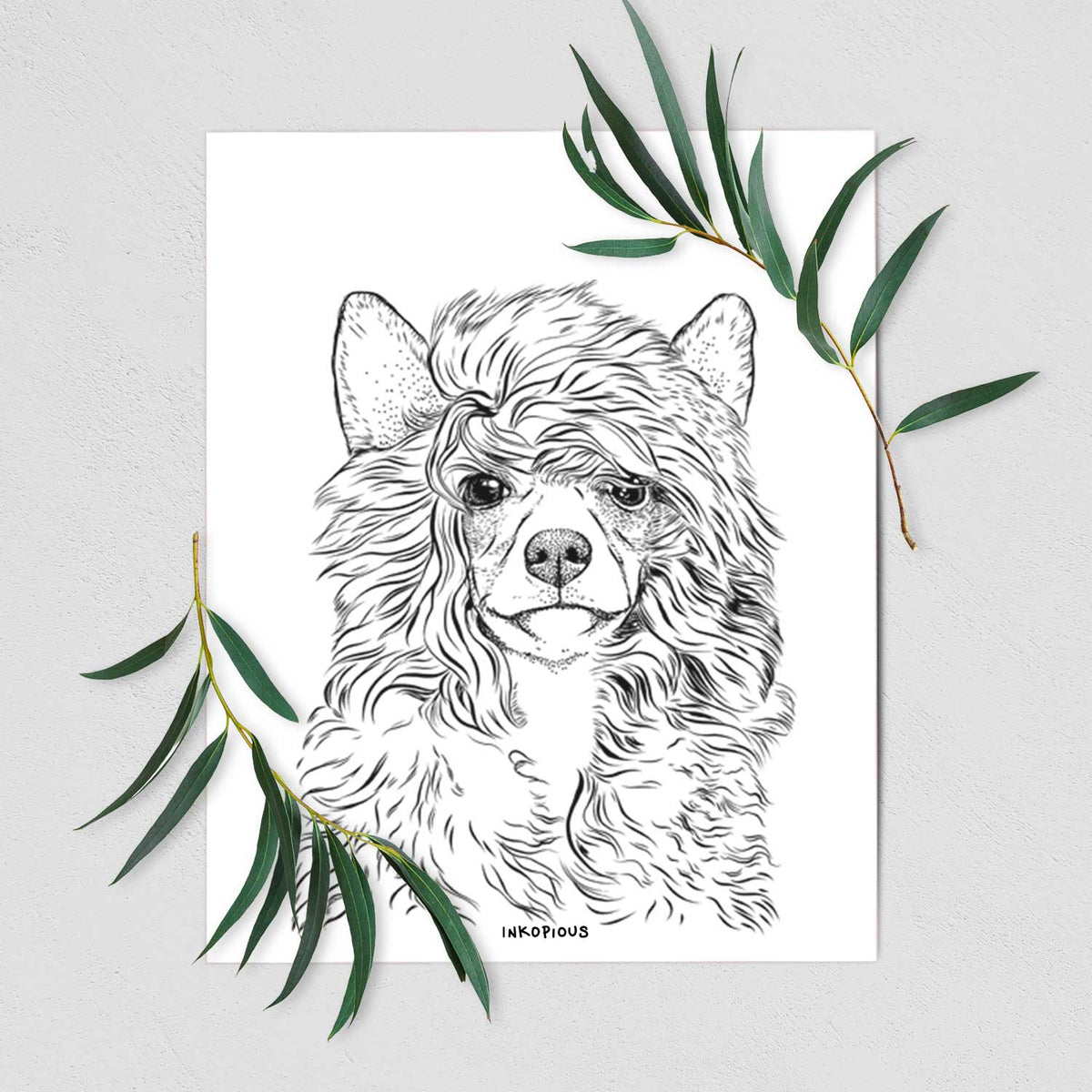 Preston the Powderpuff Chinese Crested Art Print