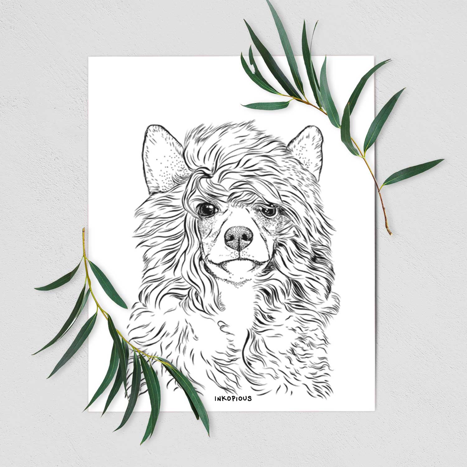 Preston the Powderpuff Chinese Crested Art Print