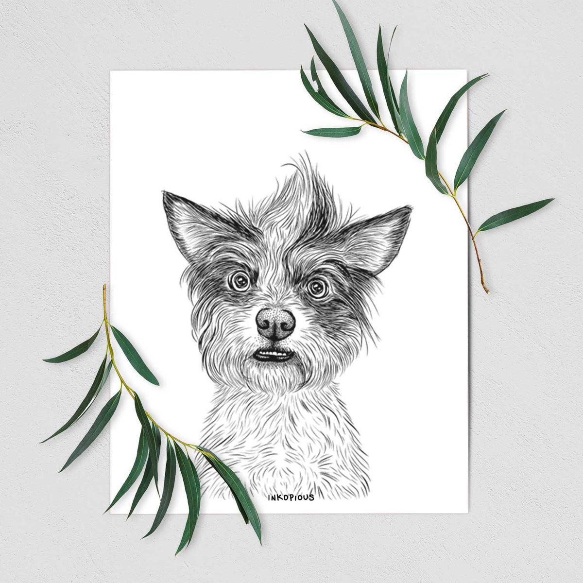 Quigley the Mixed Breed Art Print