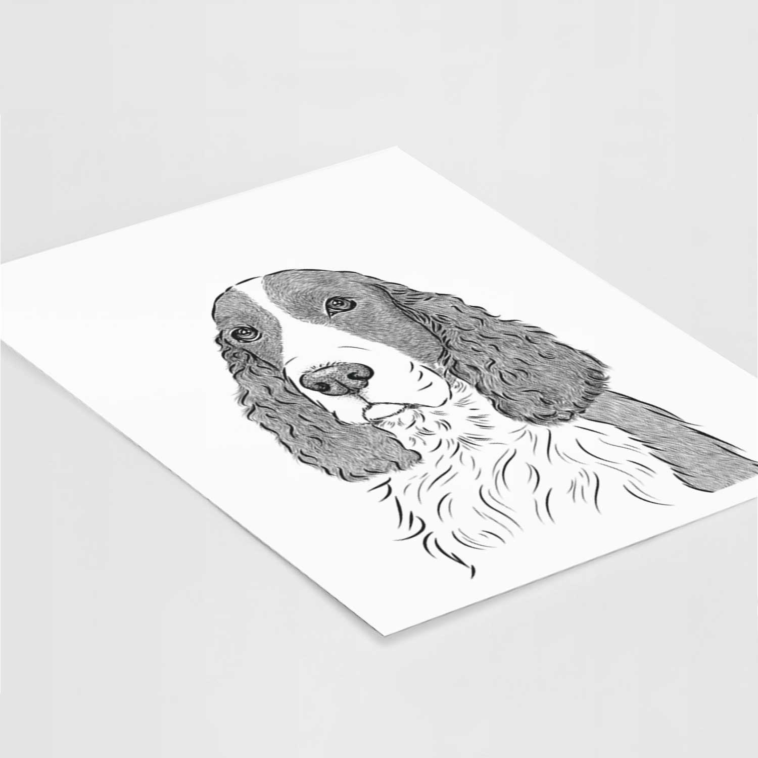 Quincy the English Springer Spaniel Art Print