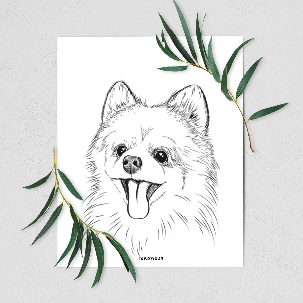 Quinn the Pomeranian Art Print