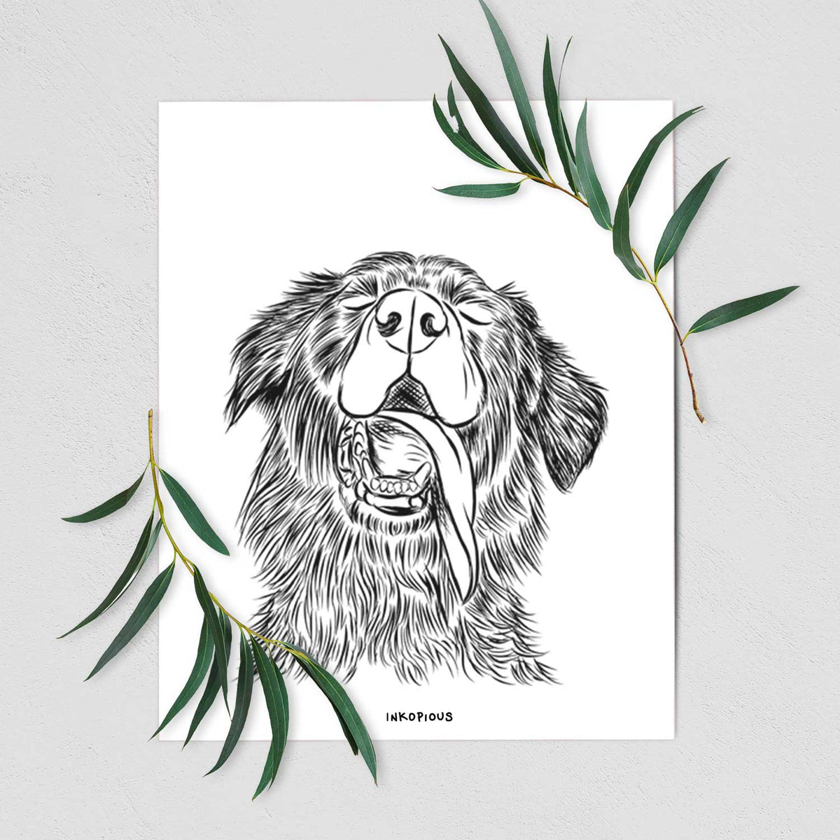 Quint the Mixed Breed Art Print