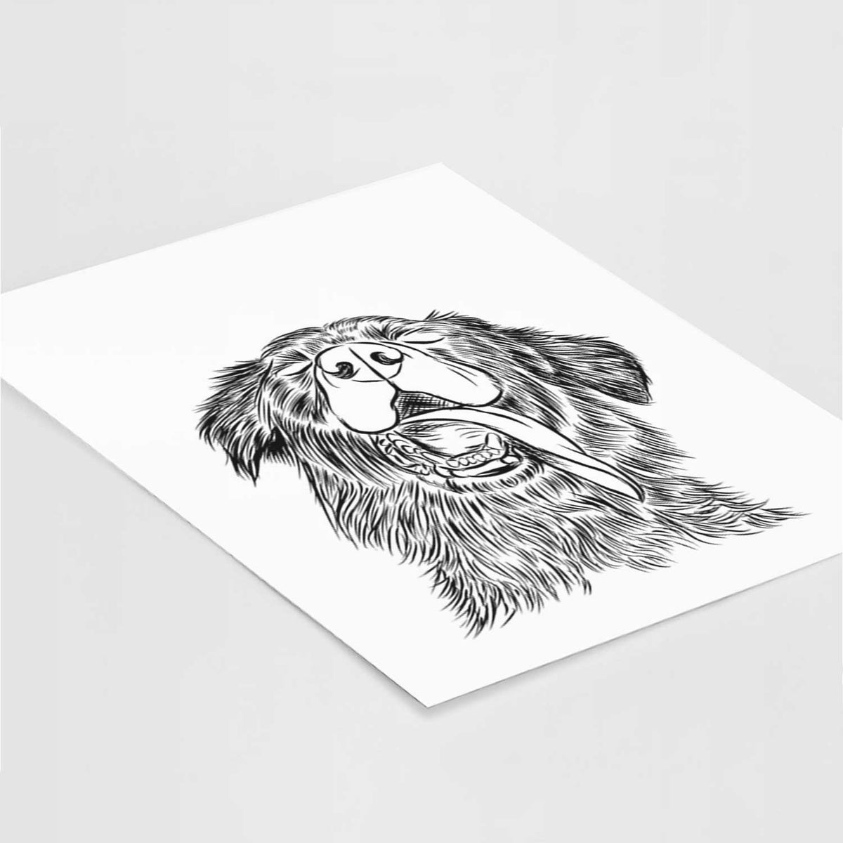 Quint the Mixed Breed Art Print
