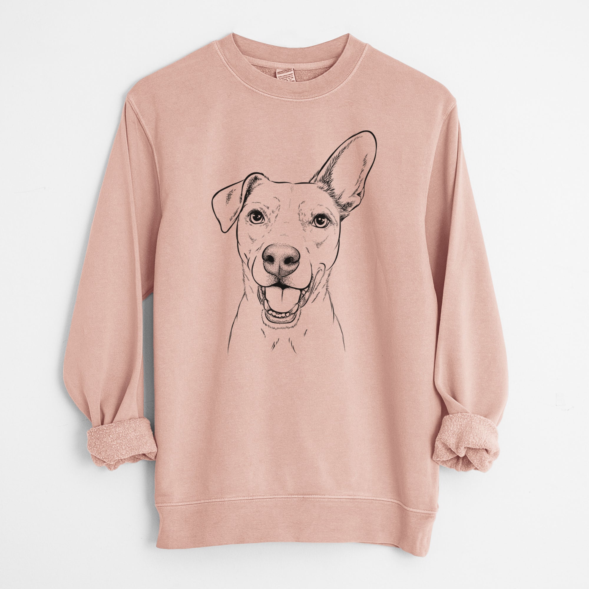 Bare Radar the Pitbull Mix - Unisex Pigment Dyed Crew Sweatshirt