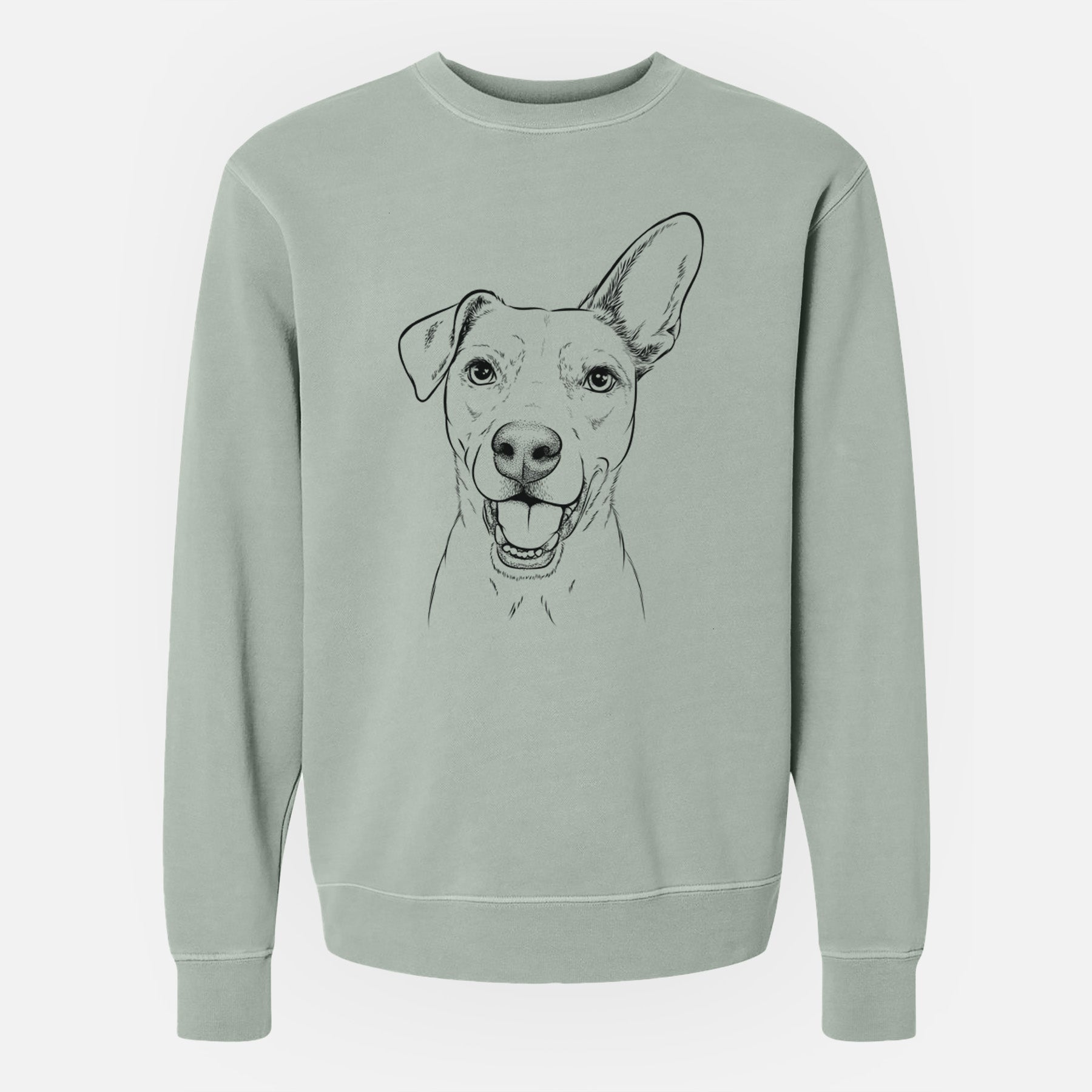 Bare Radar the Pitbull Mix - Unisex Pigment Dyed Crew Sweatshirt