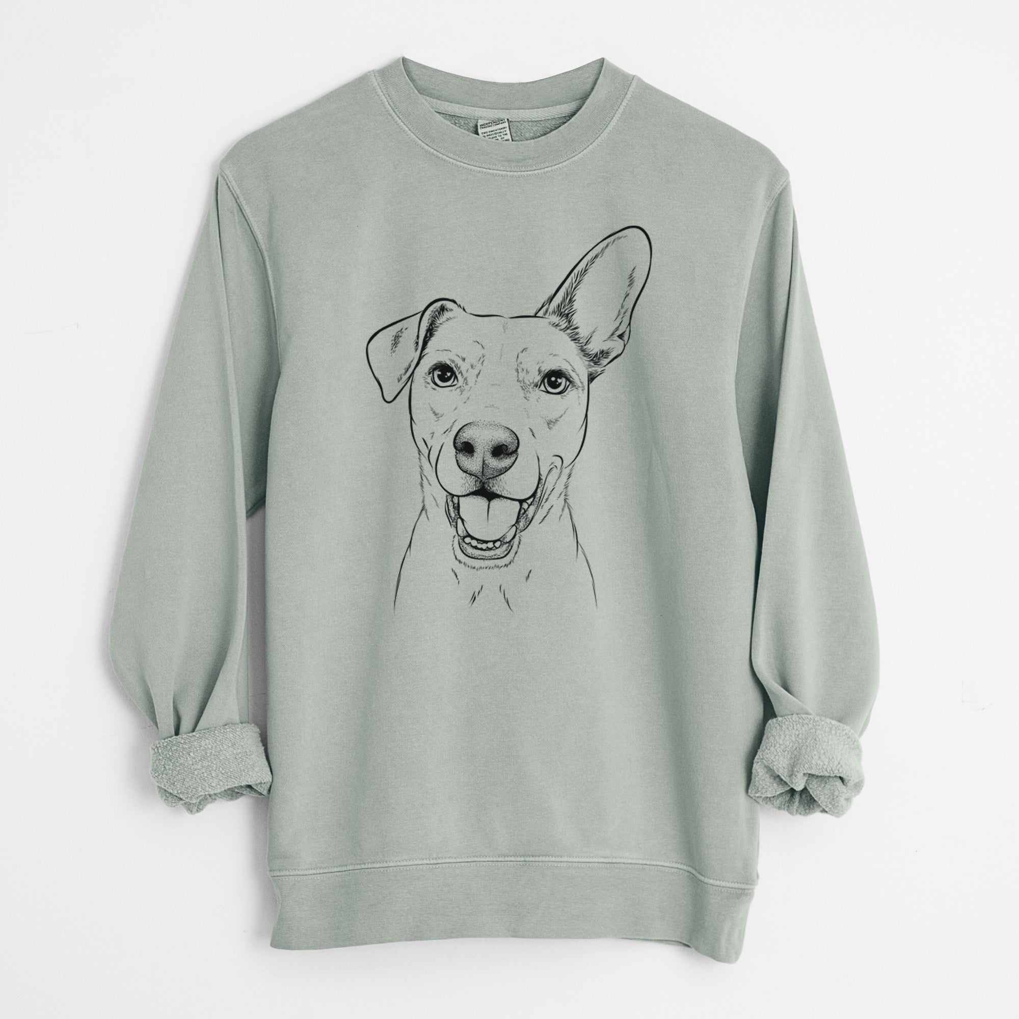 Bare Radar the Pitbull Mix - Unisex Pigment Dyed Crew Sweatshirt