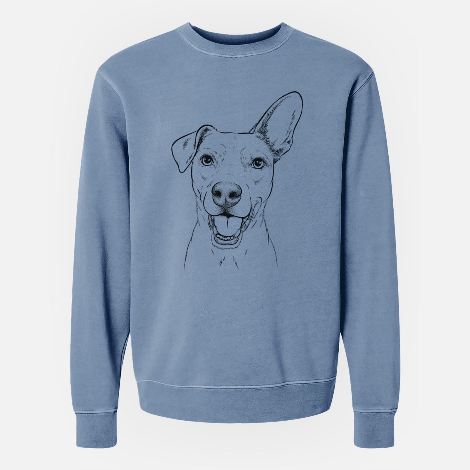 Bare Radar the Pitbull Mix - Unisex Pigment Dyed Crew Sweatshirt