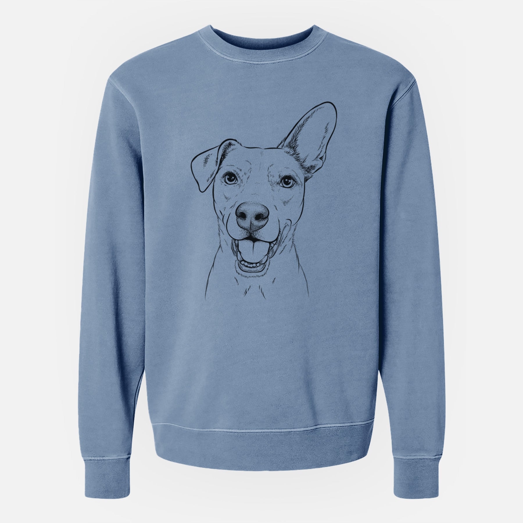 Bare Radar the Pitbull Mix - Unisex Pigment Dyed Crew Sweatshirt