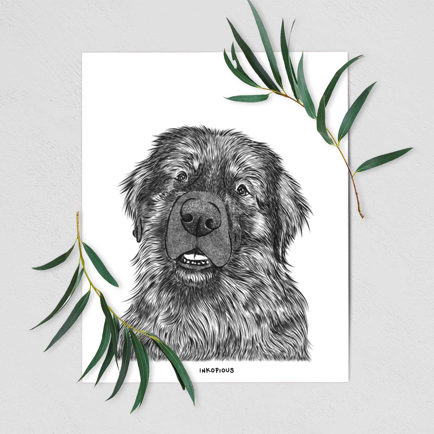 Ralph the Leonberger Art Print