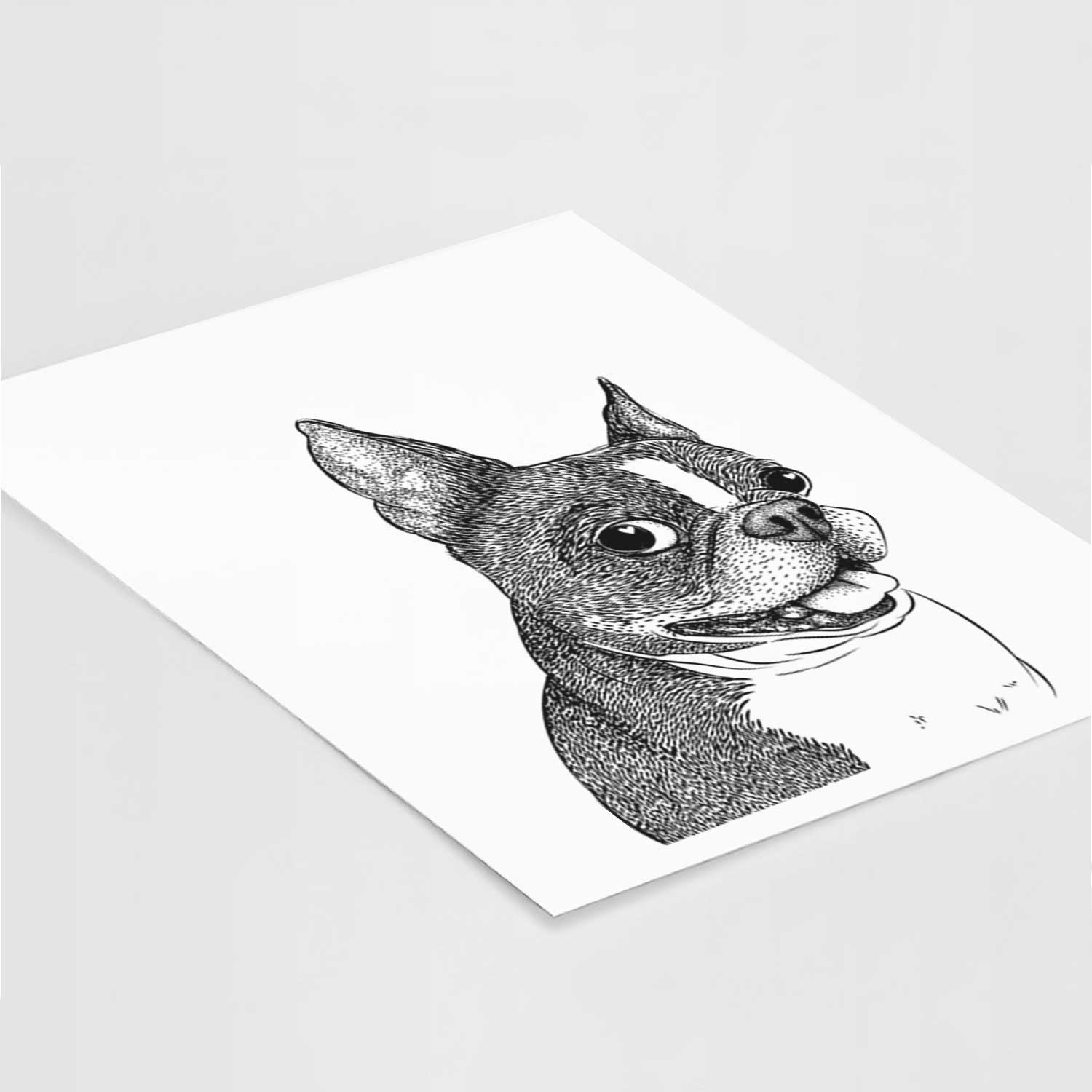 Ralphie the Boston Terrier Art Print