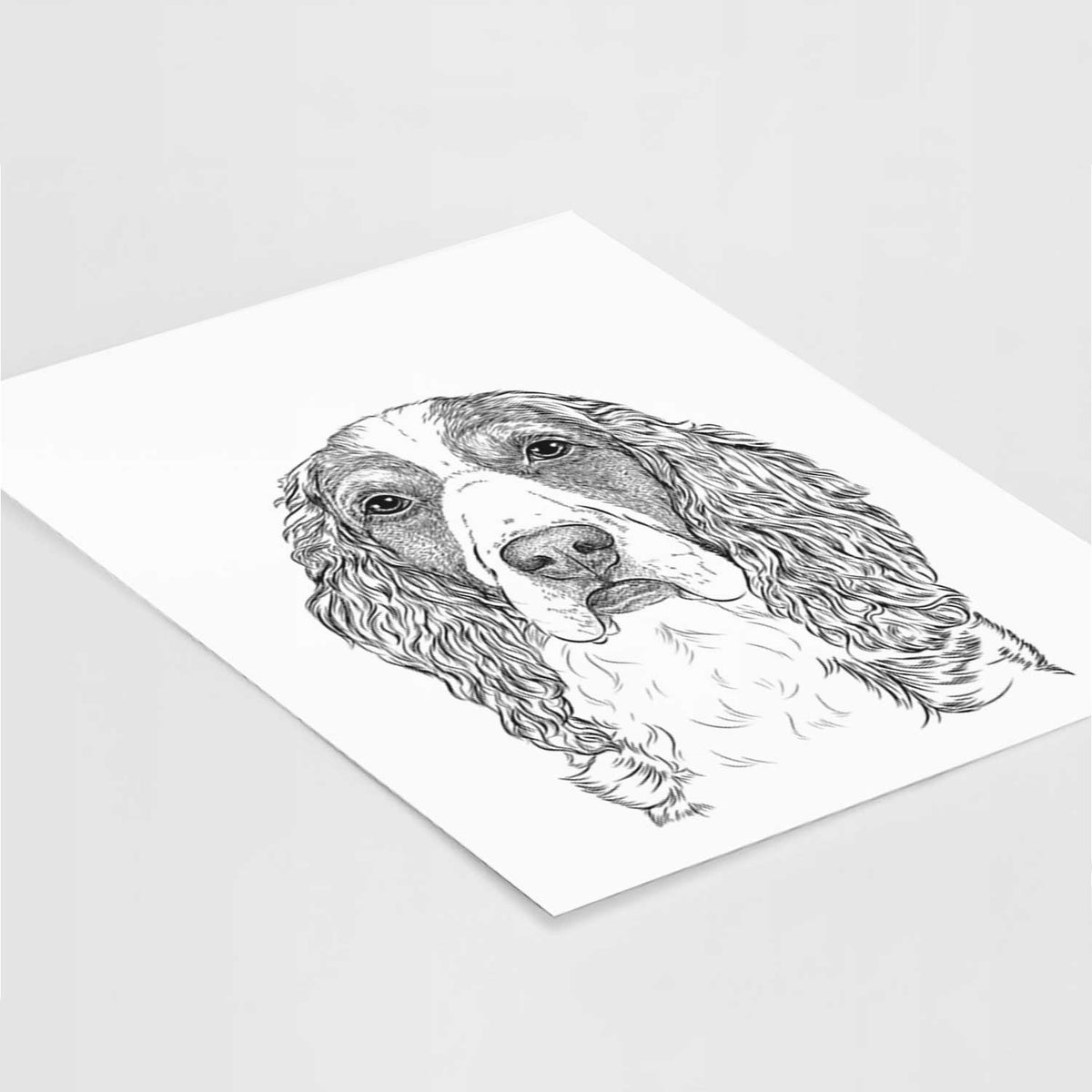 Red the English Springer Spaniel Art Print