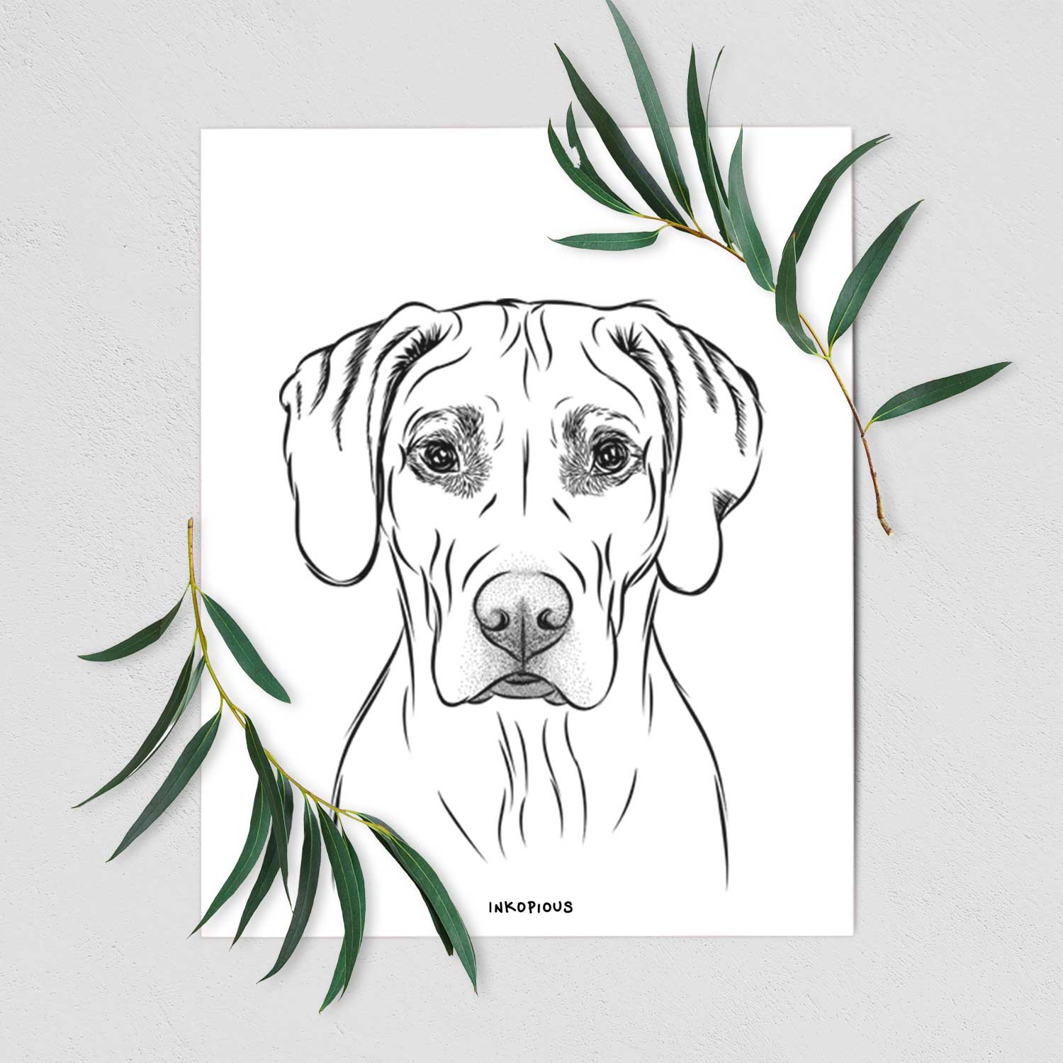 Reid the Rhodesian Ridgeback Art Print