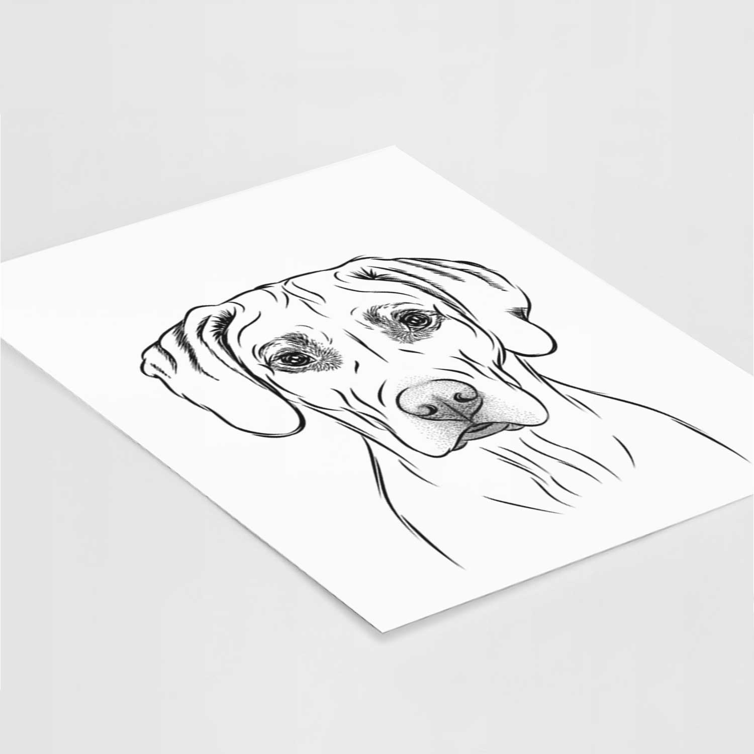 Reid the Rhodesian Ridgeback Art Print