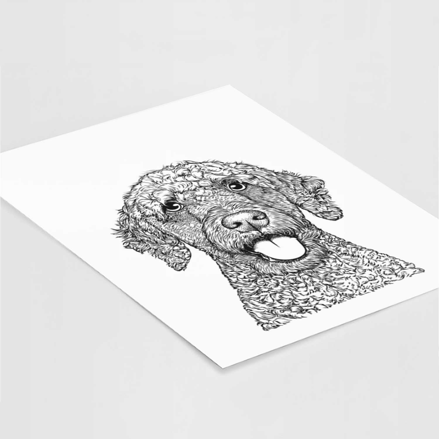 Reina the Spanish Water Dog Art Print