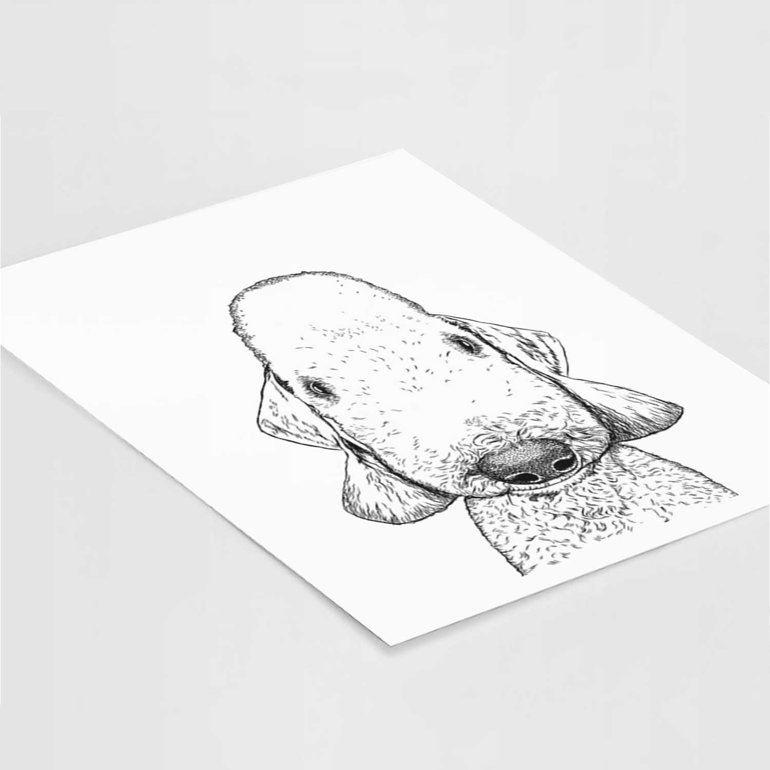 Remington the Bedlington Terrier Art Print