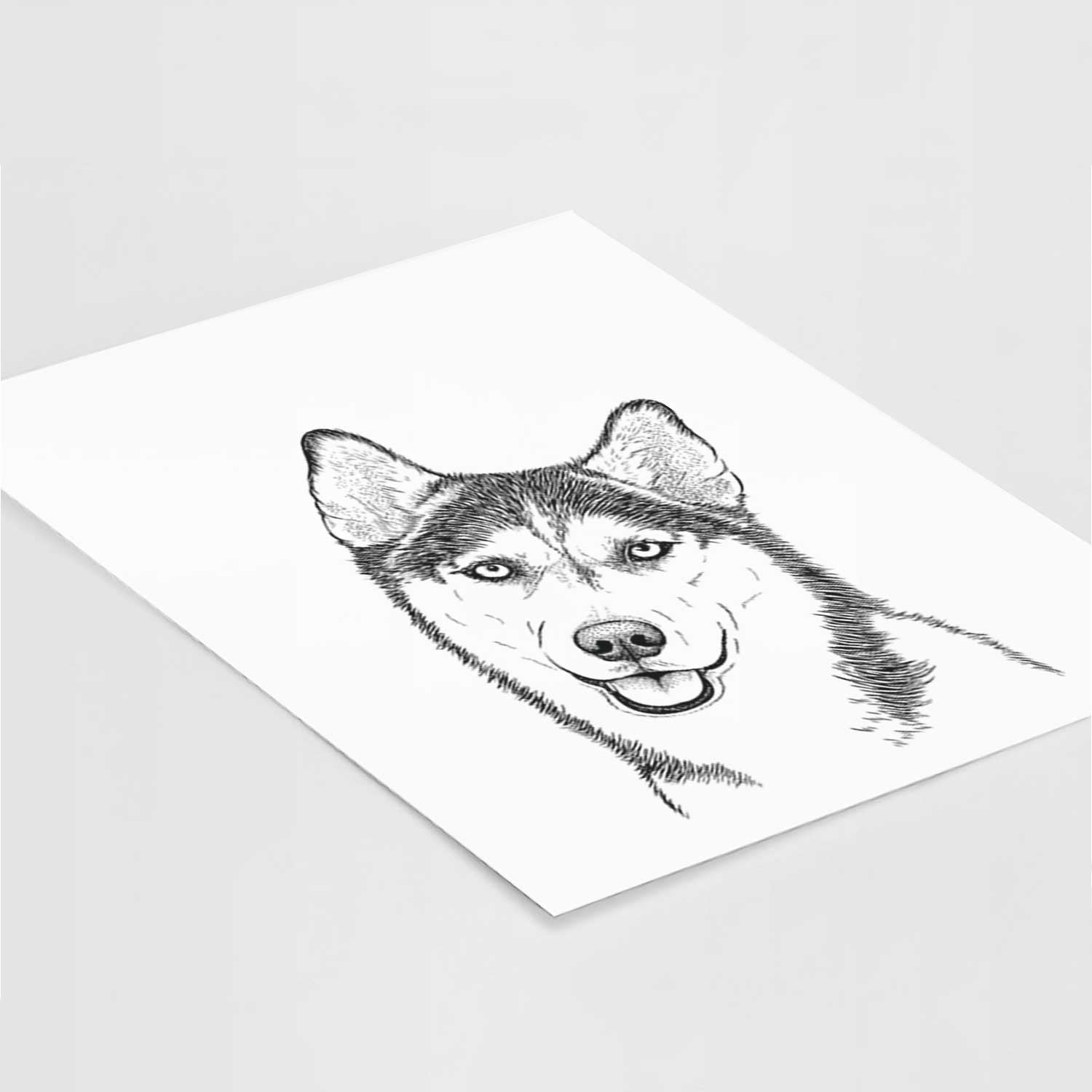 Remmie the Siberian Husky Art Print