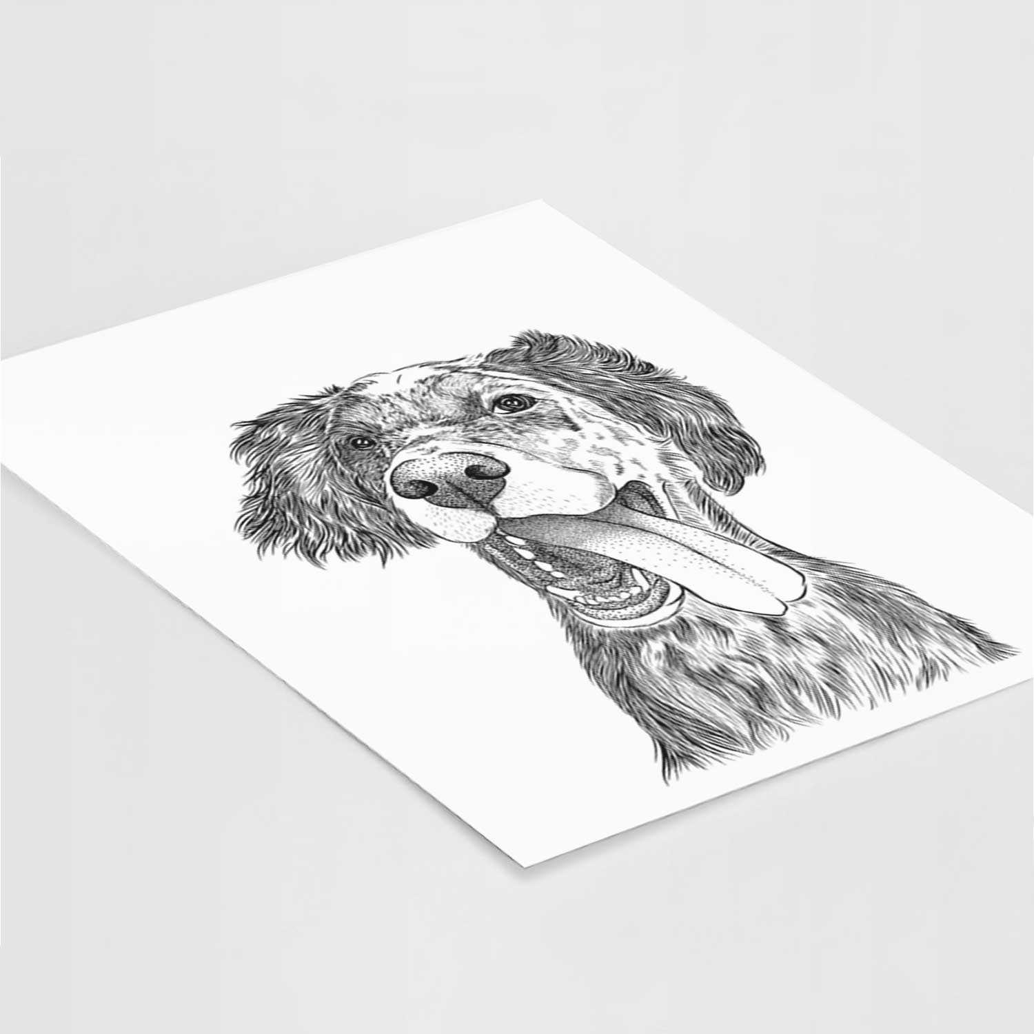 Renly the English Setter Art Print