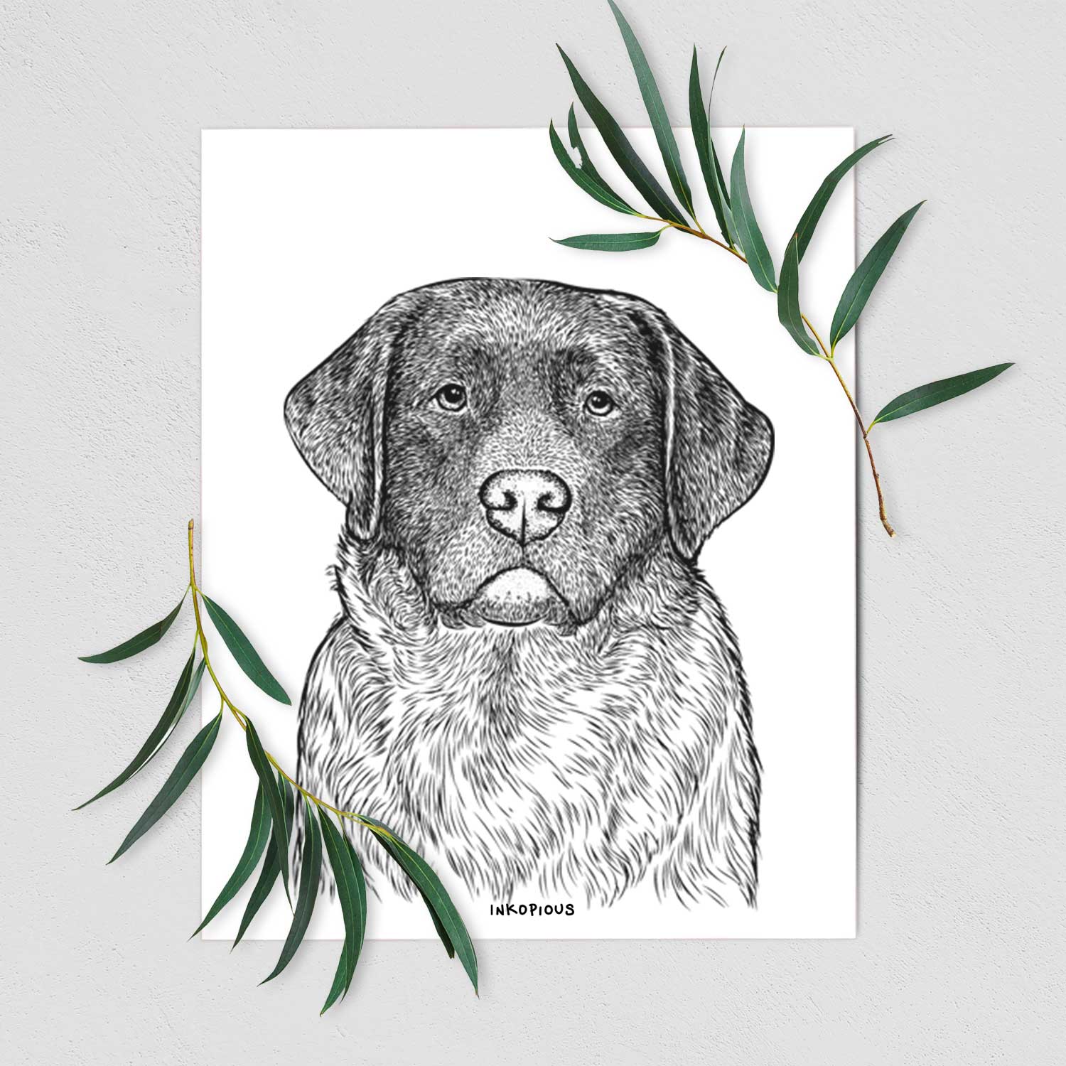 River the English Labrador Retriever Art Print