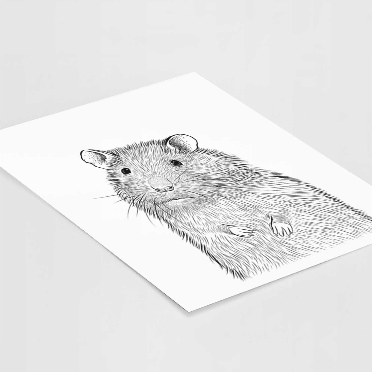 Rizzo the Rat Art Print