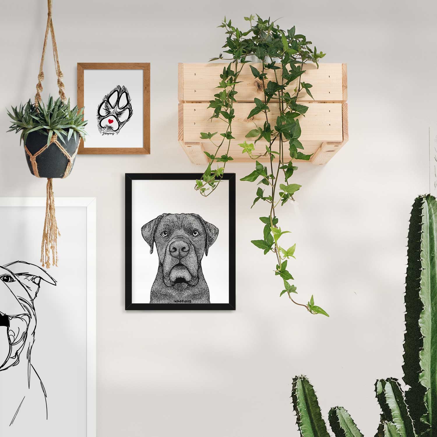 Rocco the Cane Corso Art Print