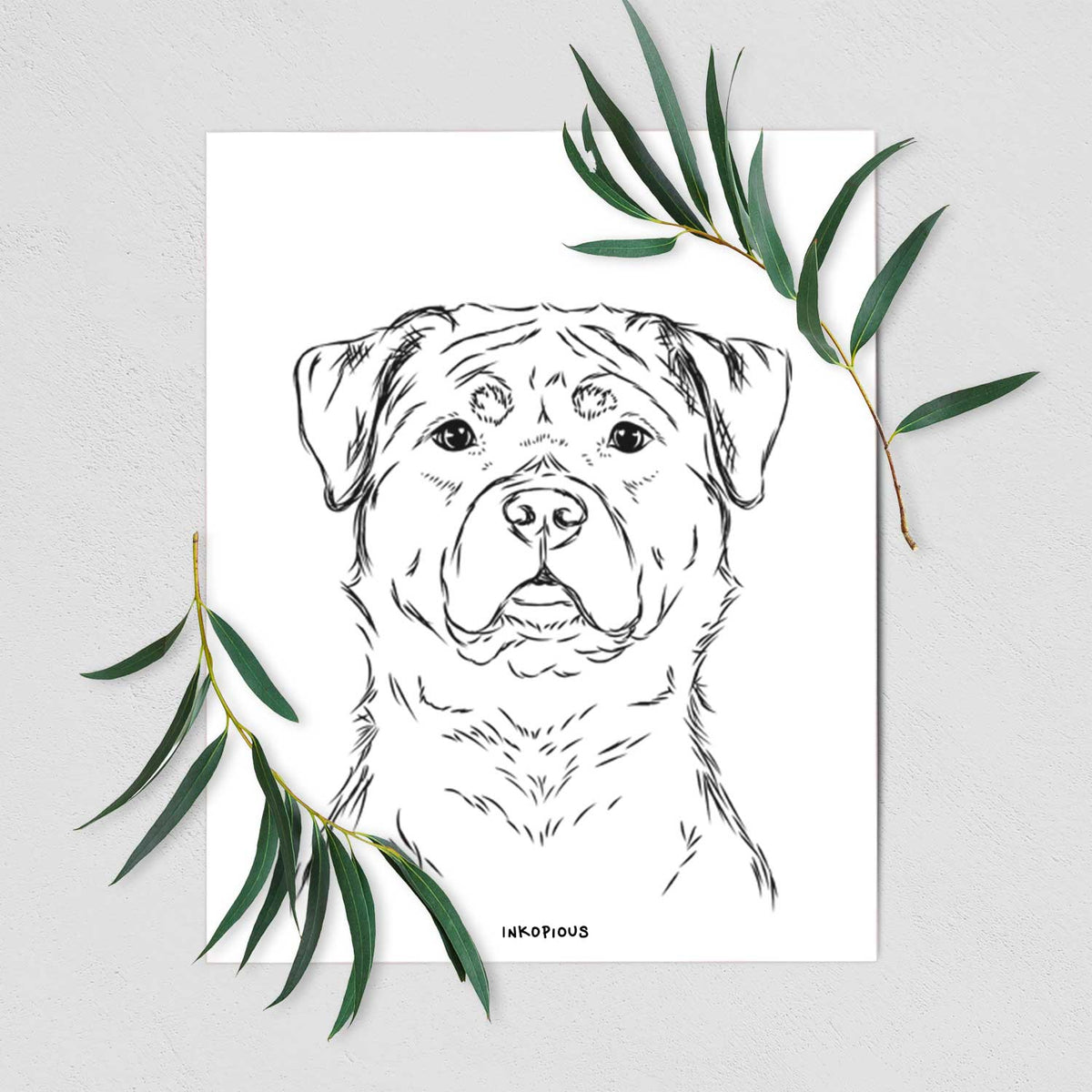 Rocky the Rottweiler Art Print