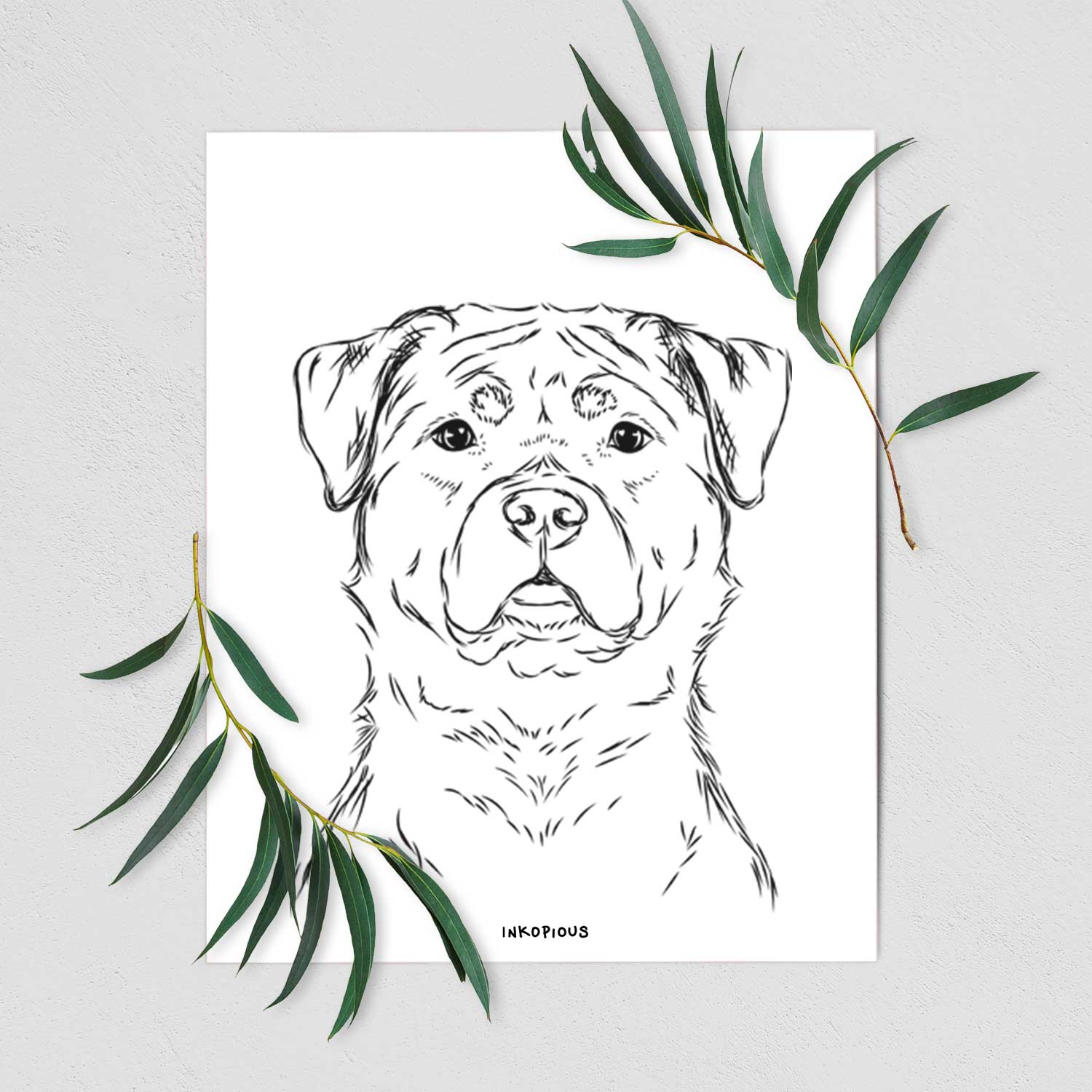 Rocky the Rottweiler Art Print