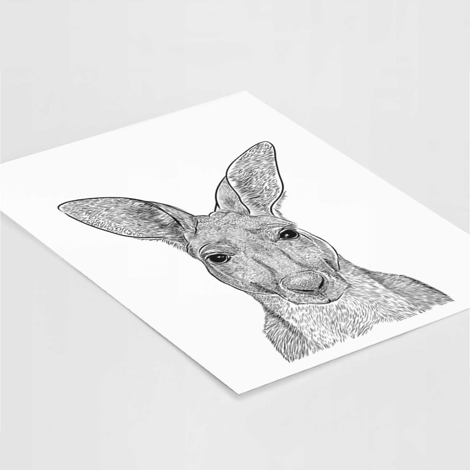 Roger the Red Kangaroo Art Print