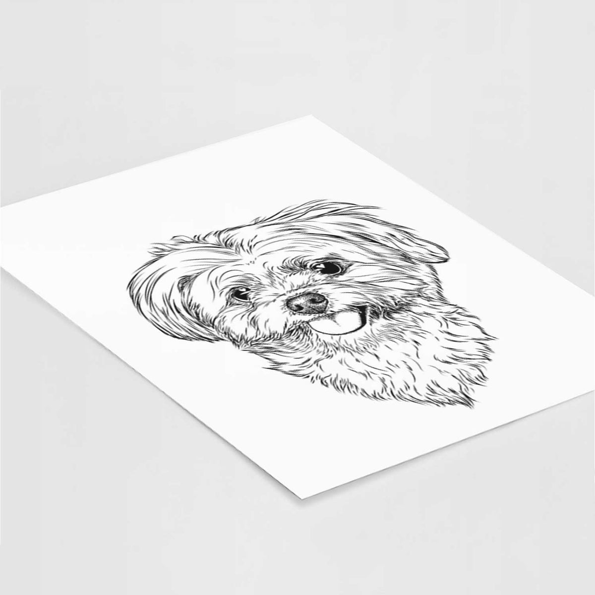 Rosie the Maltipoo Art Print