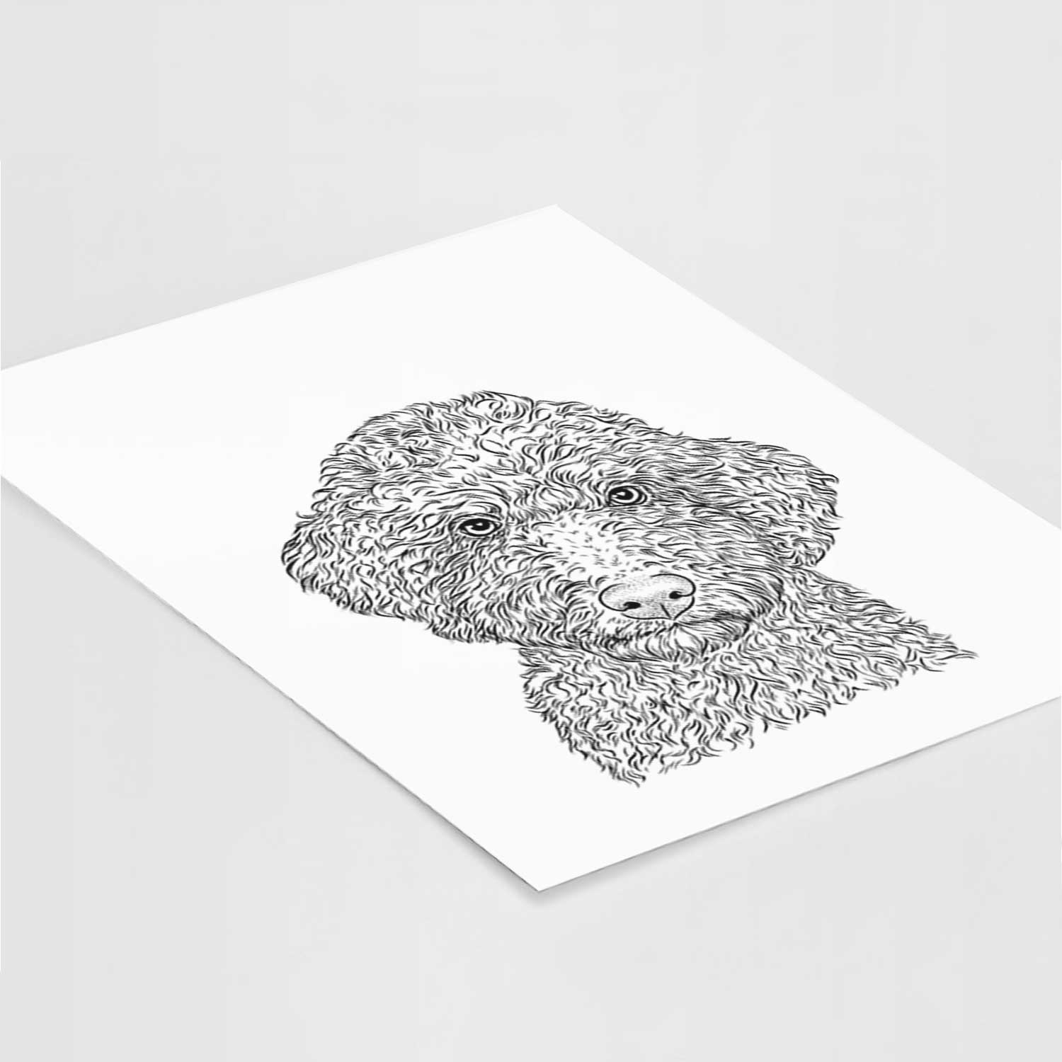 Ross the Lagotto Romagnolo Art Print