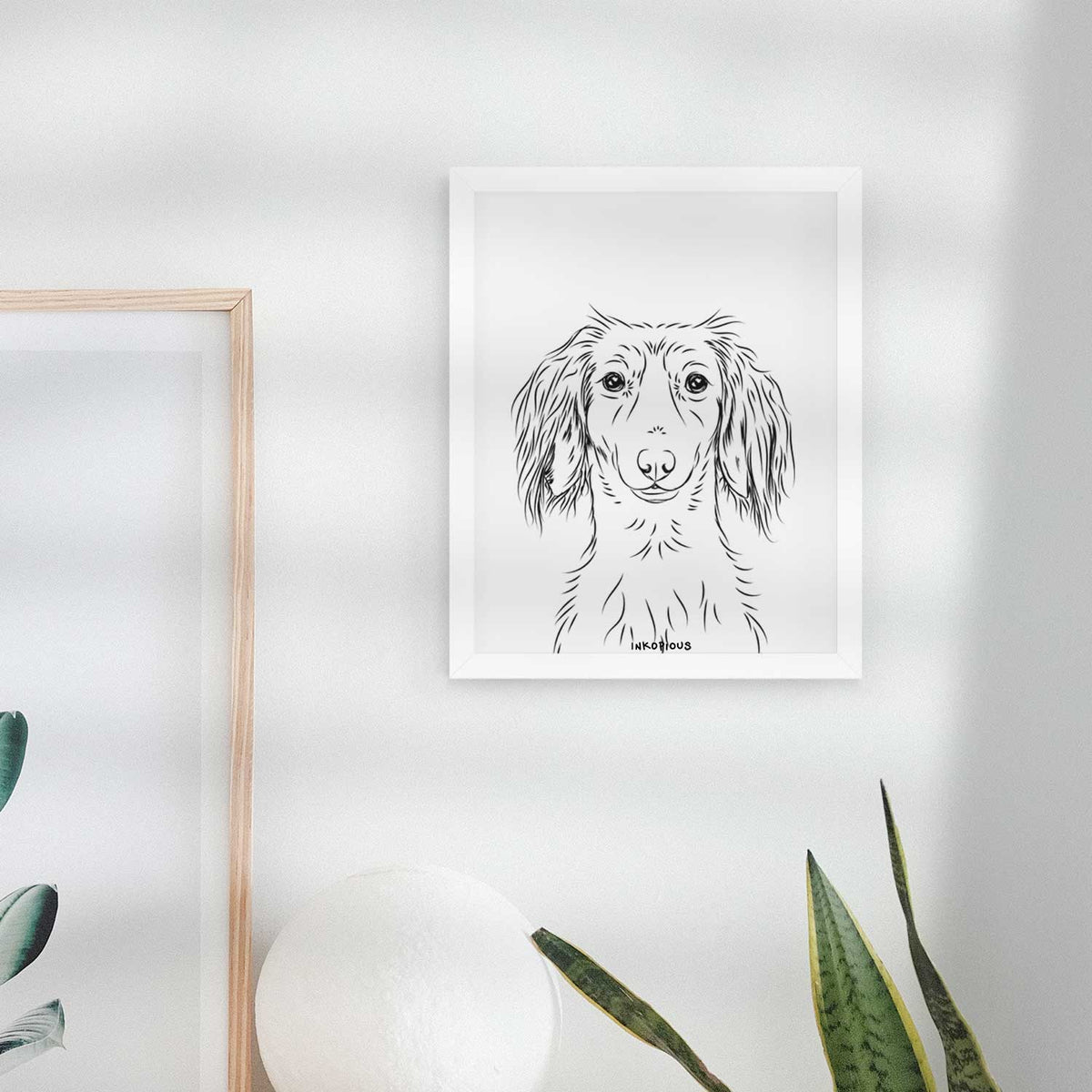 Roux the Long Haired Dachshund Art Print