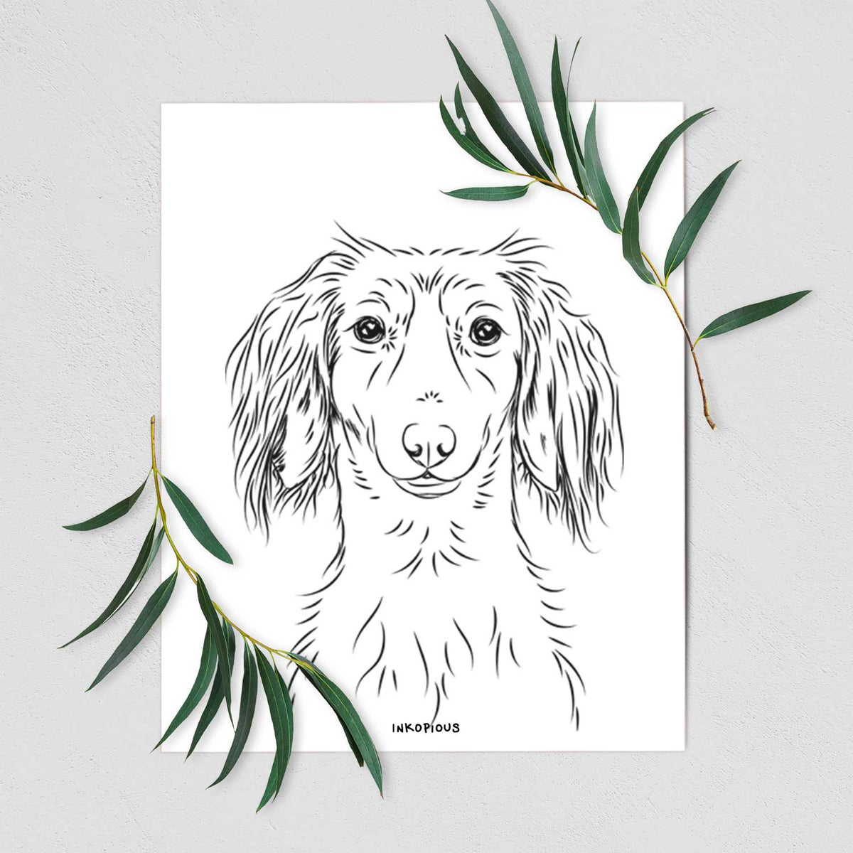 Roux the Long Haired Dachshund Art Print