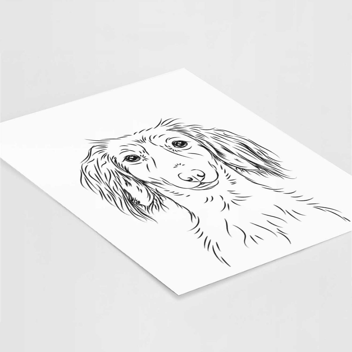 Roux the Long Haired Dachshund Art Print