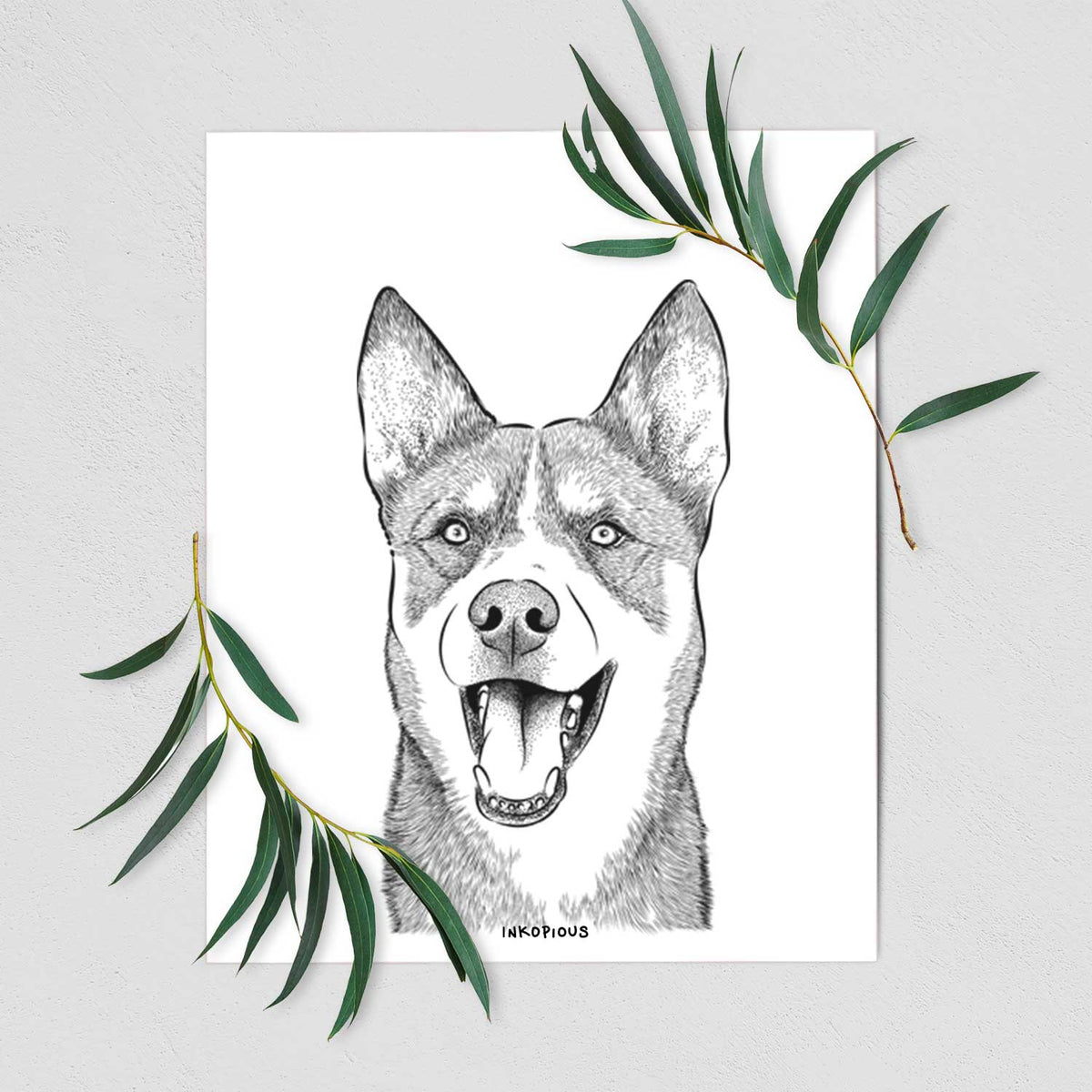 Roux the Siberian Husky Art Print